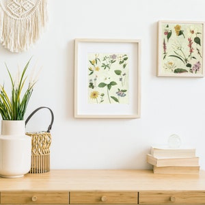 Pastel Vintage Botanical Drawing