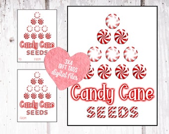 Candy Cane Seeds Gift Tag Printable, Candy Cane Gift Tags Digital, Candy Cane Tags, Classmate Christmas Gifts, Christmas Gift Tag, Party Tag