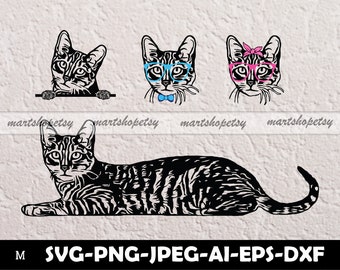 Image by Shutterstock Retro Meow Meow Quote Cat Design Tee Women's Image by Shutterstock Retro Meow Meow Quote Cat Design Tee Women's