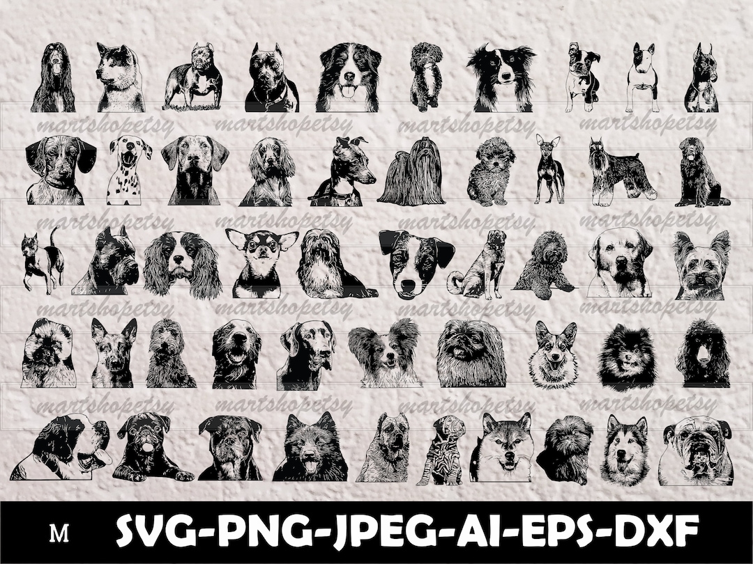 Dog Svg Bundle, 50 Breeds Dog Svg Bundle for Cricut, Dog Breed Svg, Dog ...