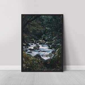 Puede incluir: Fotografía enmarcada de un paisaje fluvial. El agua fluye sobre rocas, creando un efecto borroso. La escena está rodeada de exuberante follaje verde y árboles, con una estética oscura y melancólica.