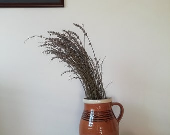 茶色の陶器の原始的な容器の水差し、アンティークの陶器のポット