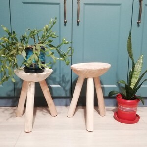 May include: Two wooden stools with three legs each, one with a potted plant on top. The stools are white and the plants are green. The background is a teal blue wall.