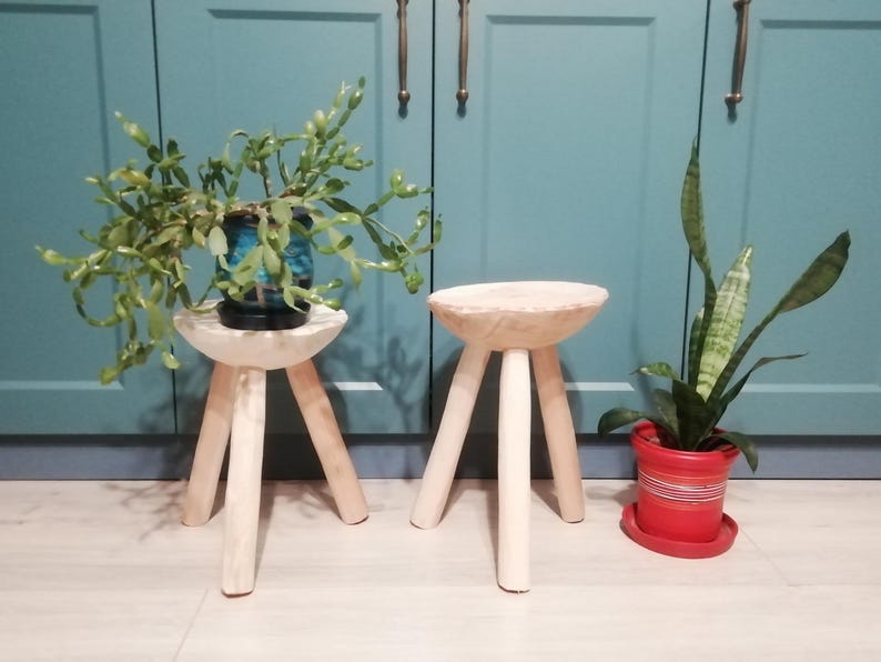 May include: Two wooden stools with three legs each, one with a potted plant on top. The stools are white and the plants are green. The background is a teal blue wall.