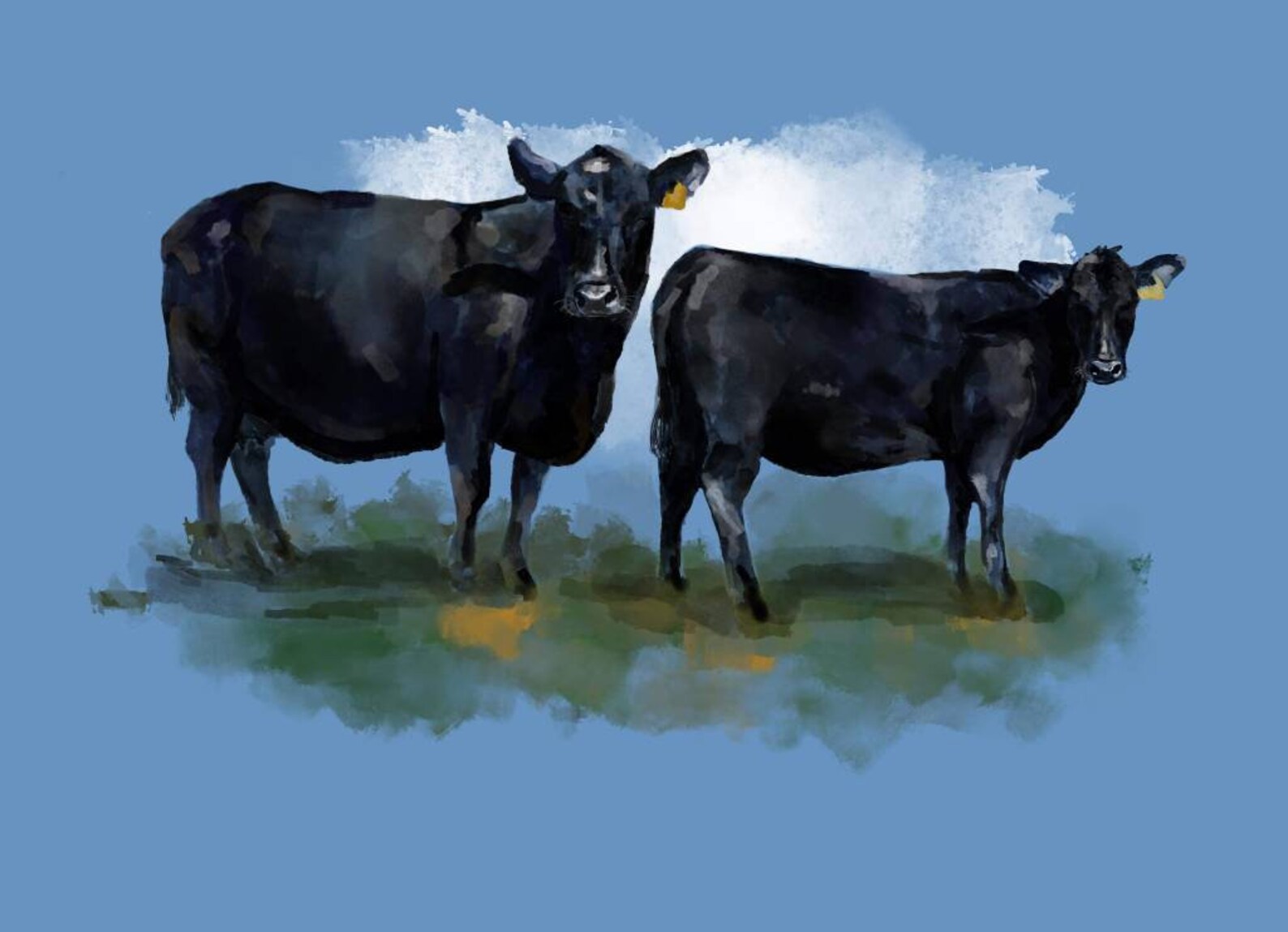 Angus Cow Farm Animal Animal Art Aberdeen Angus Aberdeen Etsy