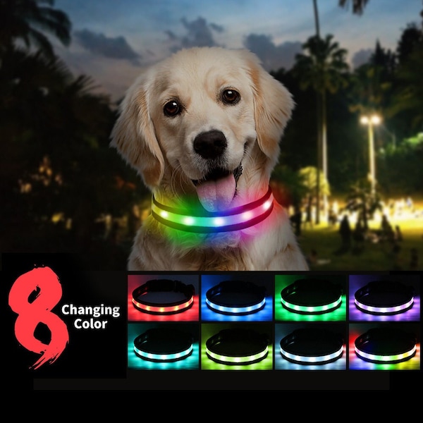 Collier lumineux pour chien, 1 pièce, pour la marche nocturne, LED, Rechargeable, couleur changeante, brille dans la nuit