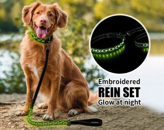 LED Light UP Dog Leash and Collars Rechargeable Waterproof Dog Leash with Light Luminous Reflective Dog Lights for Pet Safety Night Walking