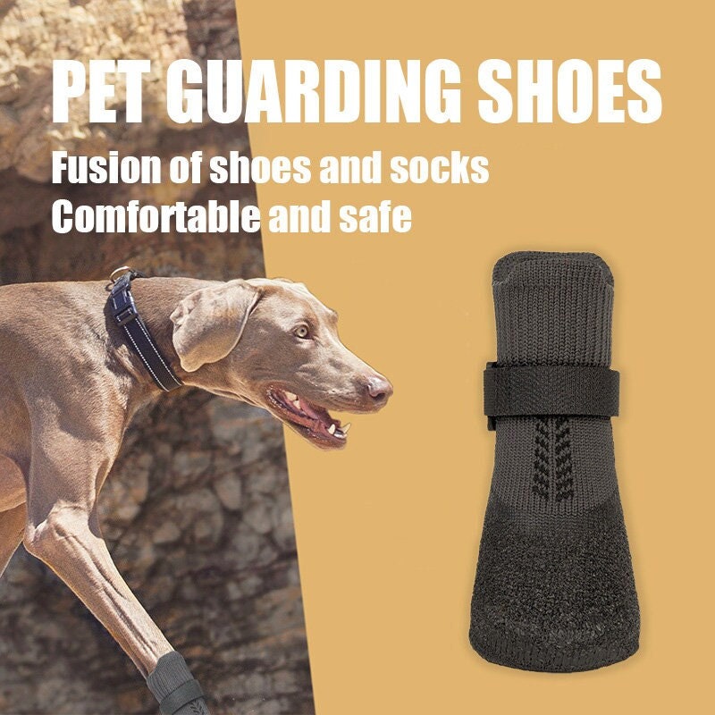 Dog Paw Protection -  Canada