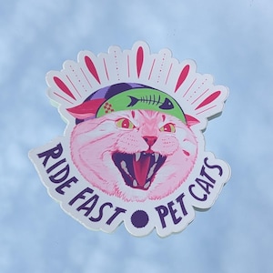 May include: A sticker featuring a pink cat with an open mouth, wearing a green and purple bandana with a fishbone design. The sticker has the words "RIDE FAST PET CATS" in a purple font, with a white border and a red and white design above the cat's head.
