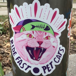 Puede incluir: Un gato rosa con una bandana verde y un diseño de espina de pescado, con las palabras "Ride Fast Pet Cats" alrededor de la imagen.
