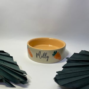 Personalized food bowl| Hamsters | rodent | Ceramic bowl