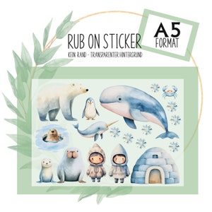 Rub-On Sticker ohne Rand , Eisbär Pinguin Schnee, 19 Motive A5 Bogen z.B. f. Raysin, Glas, Kunststoff, Holz