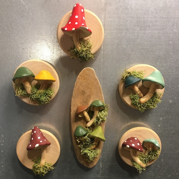 Handmade Mushroom Magnets