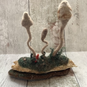 May include: A felt sculpture of three mushrooms with brown stems and white caps, growing on a piece of driftwood covered in green moss.