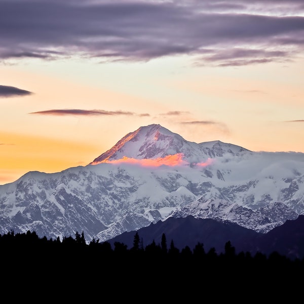 Mt. Denali