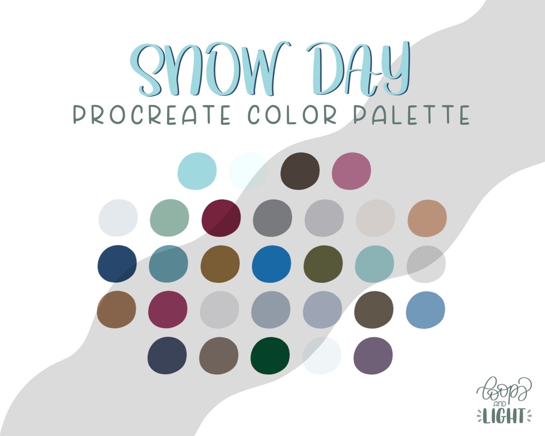 Snow Day Color Palette Procreate Palette - Etsy