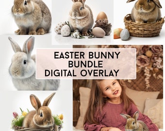 5 EASTER BUNNY Digital Overlay BUNDLE,  Kids Photography Digital Background Overlays, Photoshop Textures