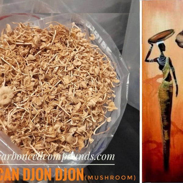 AFRICAN Djon Djon Mushroom (Origin. Nearest to Nile River) FREE Domestic Shipping - | - FREE Intn'l Shipping (orders up to 99 U.S Dollars) |