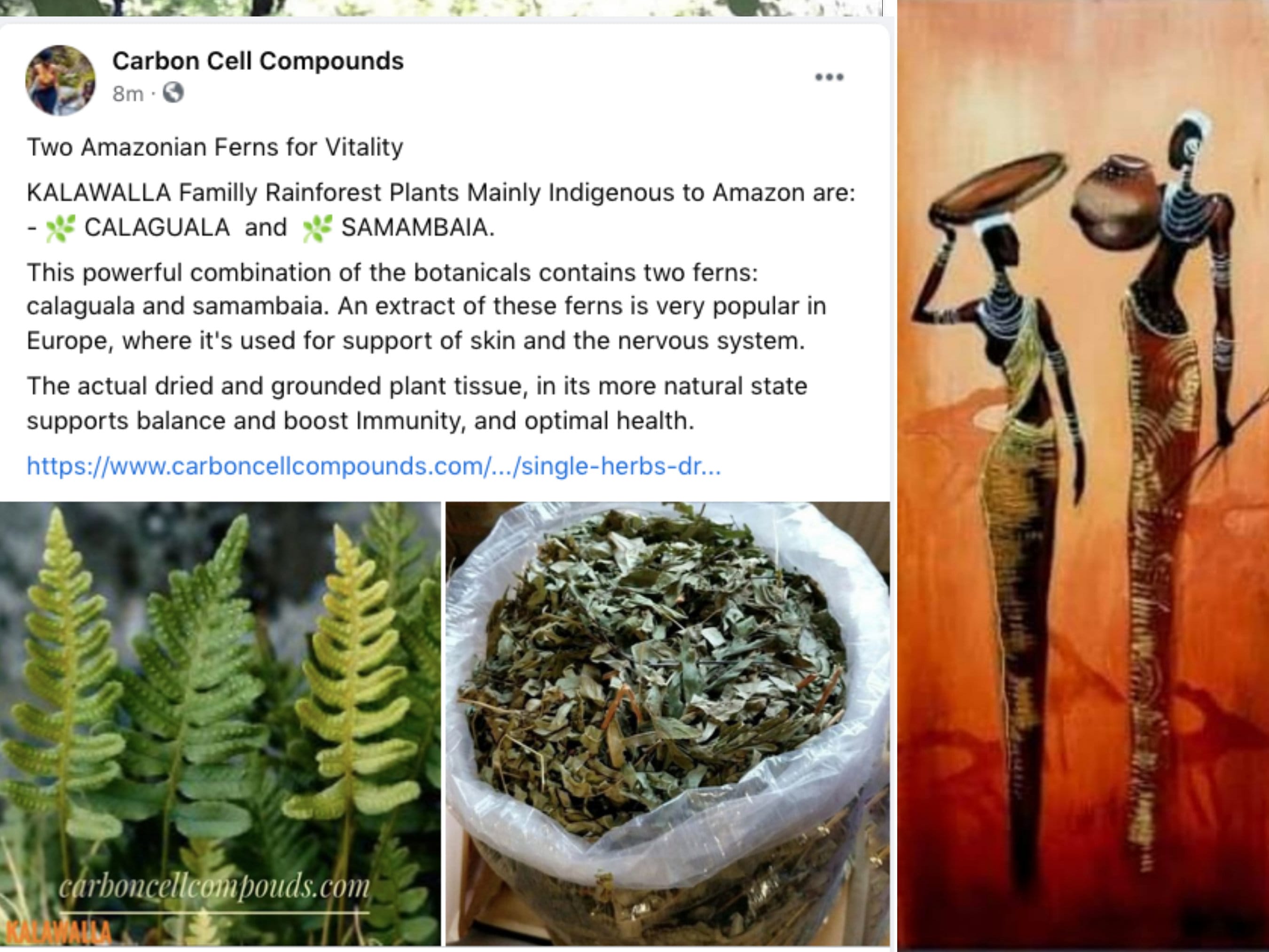 KALAWALLA País de Origen. Jamaica Envío gratuito Etsy