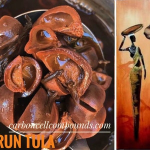GORUN TULA.  (Origin.  West Africa) |FREE Shipping Applies