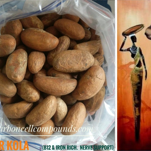 Bitter Kola Nuts (B12 Rich) - Origin. West Africa. Ghana/Nigeria | - FREE SHIPPING applies to orders up to 99 Dollars or 50 Pounds