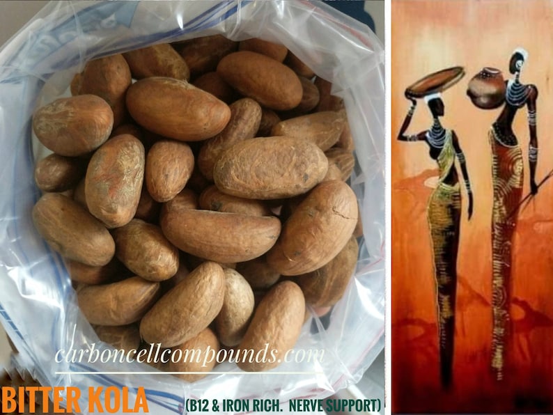 Bitter Kola Nuts B12 Rich Origin. West Africa. Ghana/Nigeria FREE SHIPPING applies to orders up to 99 Dollars or 50 Pounds image 1