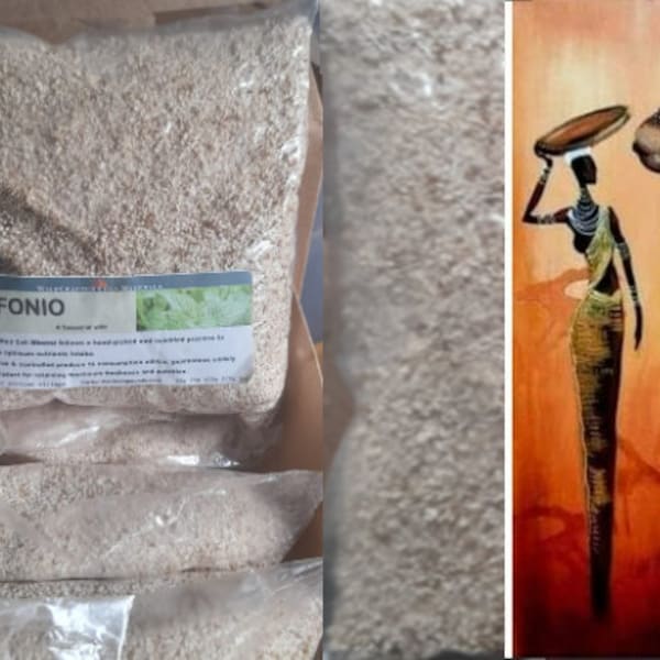 ANCIENT GRAINS - FONIO  (Country of Origin.  West Africa Forestry) Free Shipping