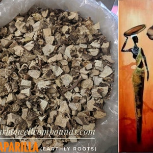 SARSAPARILLA ROOTS  (Country of Origin.  Carribean Mountains)FREE Shipping Applies