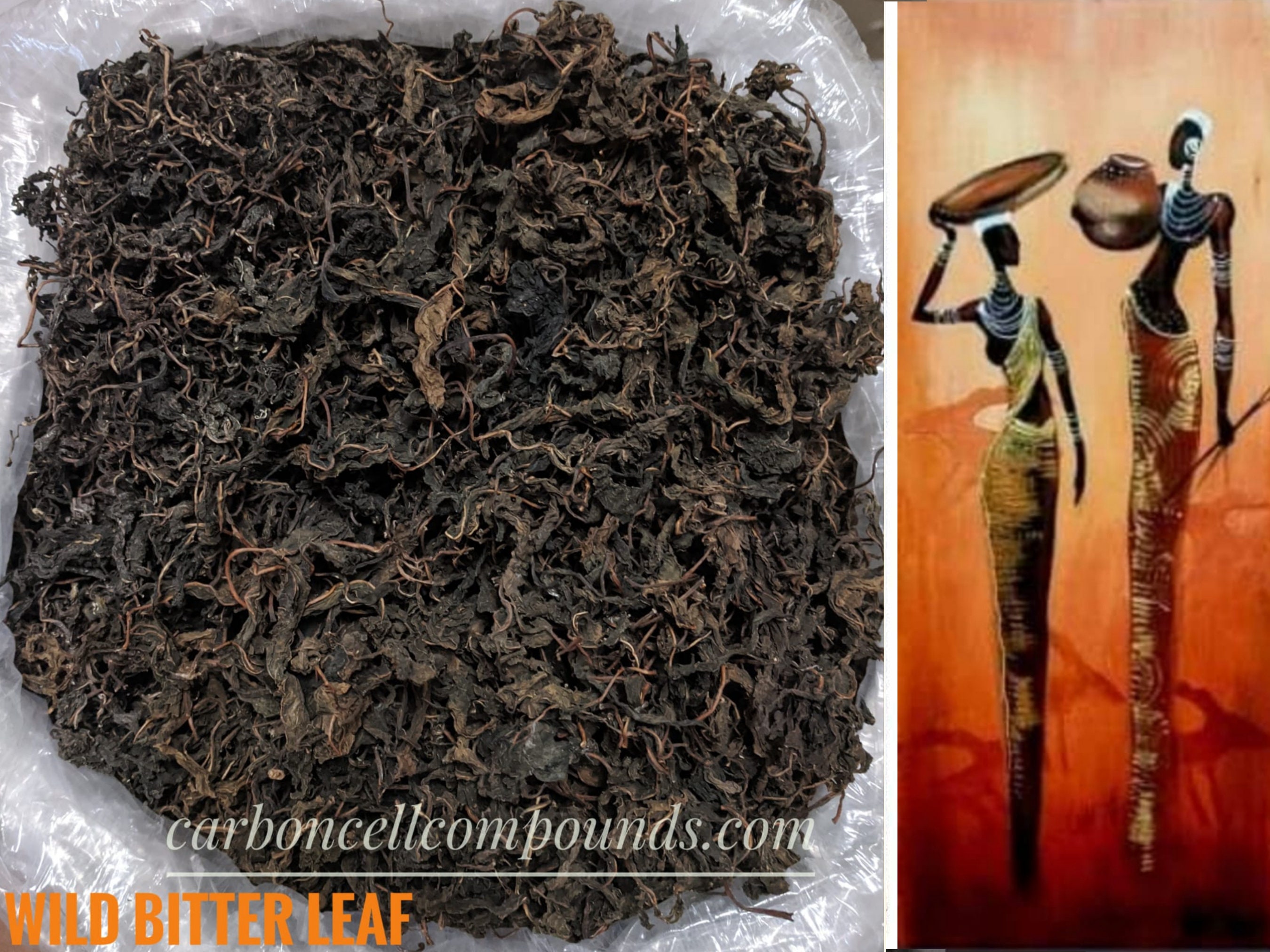 BITTER LEAF country of Origin. Nigeria Free Shipping Etsy