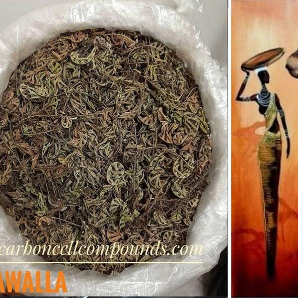 KALAWALLA (Origin. Caribbean Mountains) - | - Next Wild-Pick Apr 24 - | - FREE SHIPPING applies to orders up to 99 Dollars or 50 Pounds.