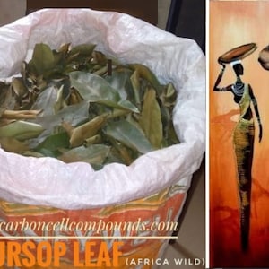 Könnte beinhalten: Ein großer Sack gefüllt mit getrockneten Guanabanenblättern. Der Sack ist weiß mit einem roten und gelben Design. Der Text "soursop leaf (africa wild)" ist auf den Sack gedruckt. Das Bild zeigt auch ein Gemälde von zwei Frauen in traditioneller afrikanischer Kleidung.