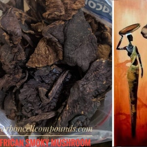 Puede incluir: Setas ahumadas africanas silvestres secas en una bolsa de plástico transparente sobre un fondo blanco. La bolsa tiene una dirección de sitio web impresa en ella: carboncellcompounds.com. El texto "WILD AFRICAN SMOKY MUSHROOM" está impreso debajo de la dirección del sitio web.