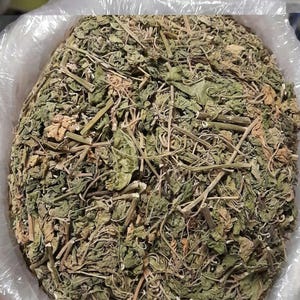 BLOODBERRY Jamaican DogBlood (Country of Origin. Jamaica) | -FREE Shipping Applies