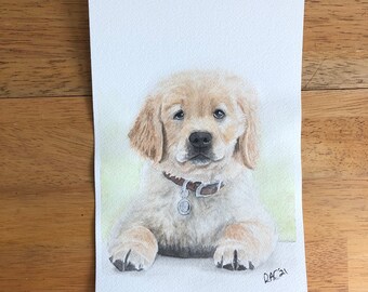 Custom Watercolor Pet Portrait