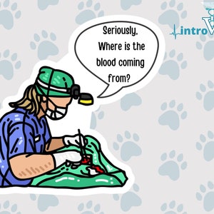 Surgeon Sticker,Doctor Sticker,Veterinarian Sticker, Medical Student Sticker,Vet Student Sticker, MD Sticker, DVM Sticker,Vet,DO Sticker,Vet