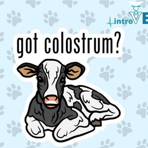 Got Colostrum Sticker, Veterinarian Sticker, Vet Tech Sticker, Cow Sticker, Vet Student Sticker, DVM Sticker,Dairy Vet, Large Animal Vet.