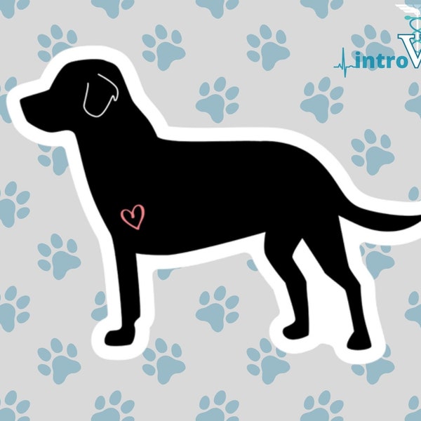 Dog Amputee Sticker,Canine Cancer Sticker,Tripod Sticker,Veterinarian Sticker,Vet Tech Sticker,Dog Sticker,Vet Student Sticker,Vet Med