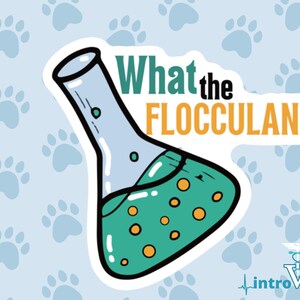 What the Flocculant Sticker,Chemistry Sticker,Chemist Sticker,Laboratory Sticker,Science Sticker,Funny Science Sticker,Nerdy Sticker,Science