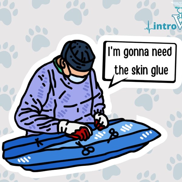 Surgeon Sticker,Doctor Sticker,Veterinarian Sticker, Medical Student Sticker,Vet Student Sticker, MD Sticker, DVM Sticker,Vet,DO Sticker,Vet