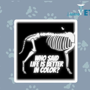 Who Said Life Is Better in Color Sticker,Veterinarian Sticker,Vet Tech Sticker,Vet Nurse Sticker,Radiology Sticker,Vet Med Sticker,X-ray.