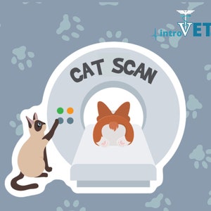 Cat Scan Sticker,CT Sticker,Radiologist Sticker,Radiology Sticker,Radiology Humor,Cat Sticker,Veterinarian Sticker,Vet Med Sticker,Vet Tech.