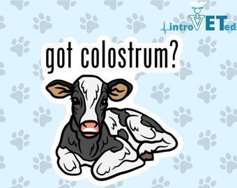 Got Colostrum Sticker, Veterinarian Sticker, Vet Tech Sticker, Cow Sticker, Vet Student Sticker, DVM Sticker,Dairy Vet, Large Animal Vet.