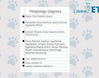 Morphological Diagnosis Sticker,Vet Med Sticker,Veterinarian Sticker,Pathology Sticker,Pathology Notes,Veterinarian Study Notes,NAVLE Study