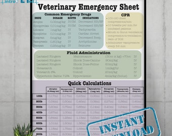 Small Animal Emergency Chart,Digital Download,Veterinary Emergency Chart,Vet Med Digital Download,Veterinary Notes,Vet School Study Guide.