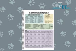 Veterinary Temperament Cage Card Veterinary Clinic Sign Vet Tech Chart ...