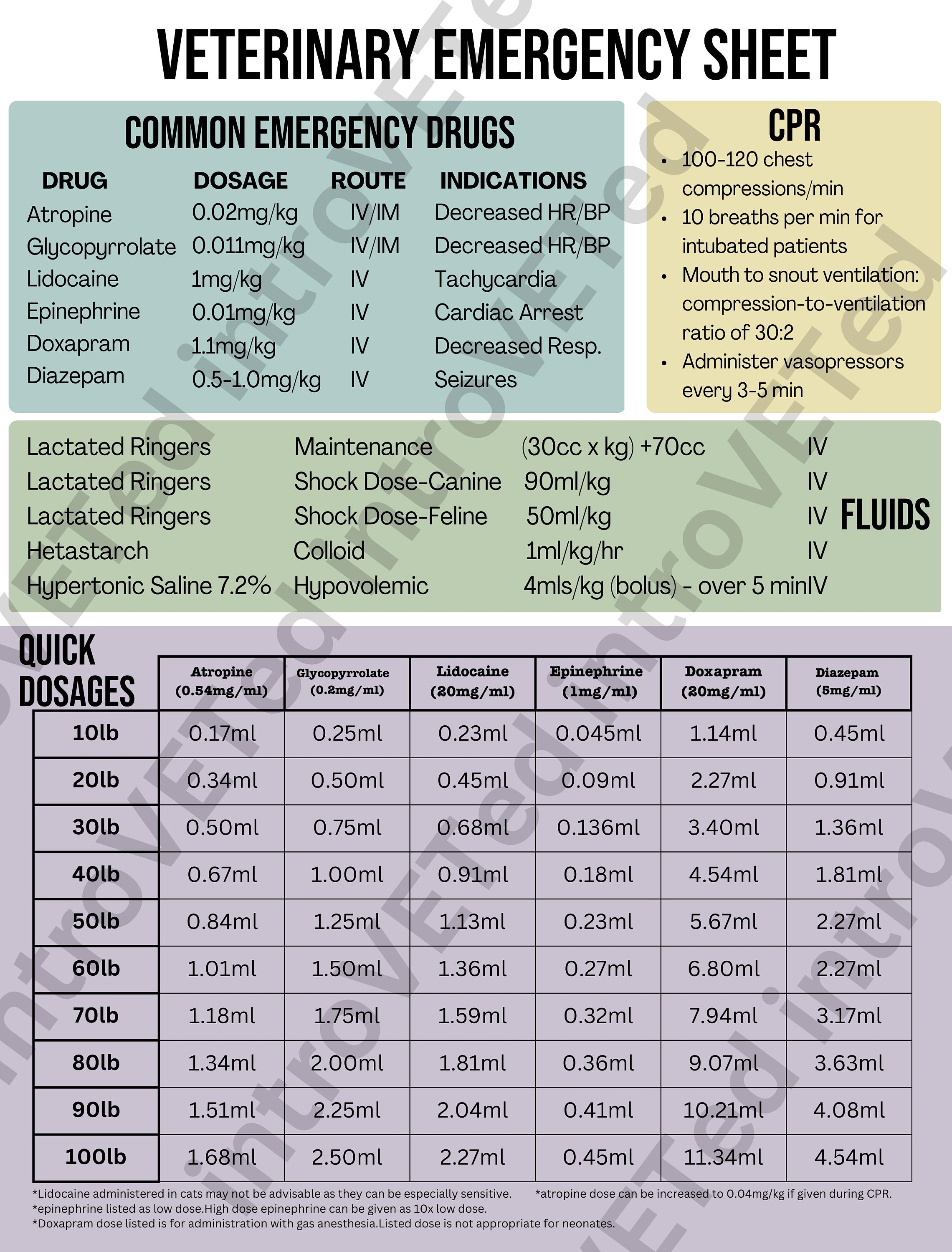Small Animal Emergency Chart,digital Download,veterinary Emergency ...