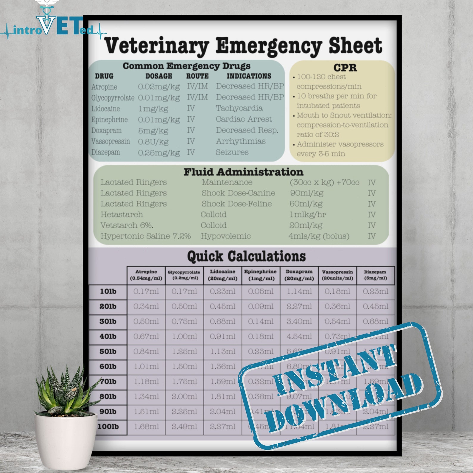 Small Animal Emergency Chart,digital Download,veterinary Emergency ...