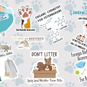 Surprise Veterinarian Sticker 5-Pack, Mystery Sticker 5-Pack,Vet Student Stickers,Vet Tech  Stickers,Laptop Stickers, Water Bottle Stickers