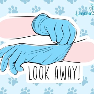Look Away!,Surgeon Sticker,Doctor Sticker,Veterinarian Sticker, Medical Student Sticker,Vet Student Sticker, MD Sticker, DVM Sticker,Vet