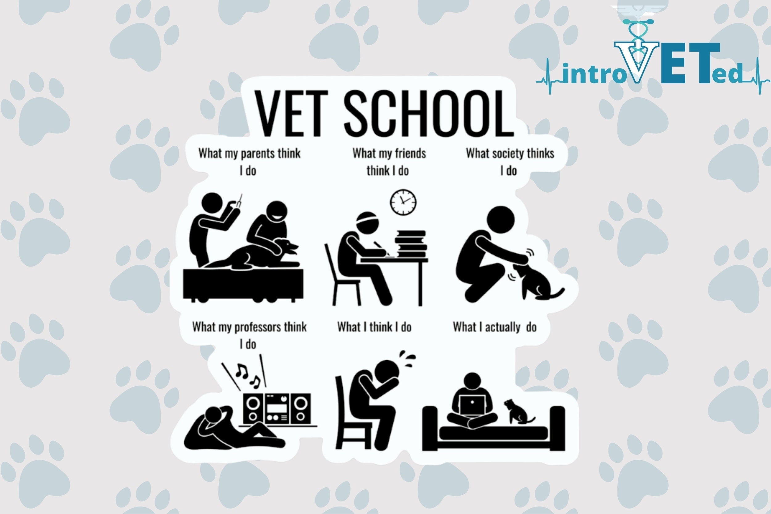 Vet School, Veterinarian Sticker, DVM Sticker, Vet Sticker, Veterinary Meme,Vet in Progress, Vet Loading, Funny Vet Sticker, Vet Med Sticker